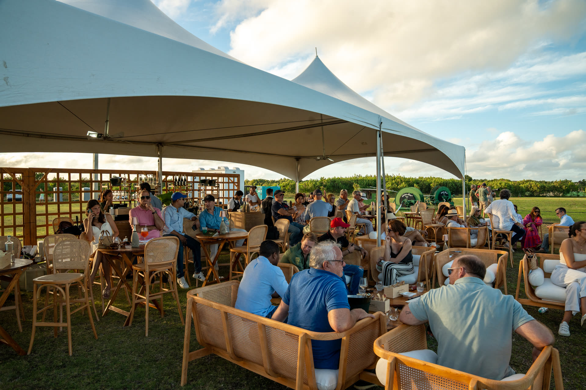 VIP Polo Match & Estate Dinner