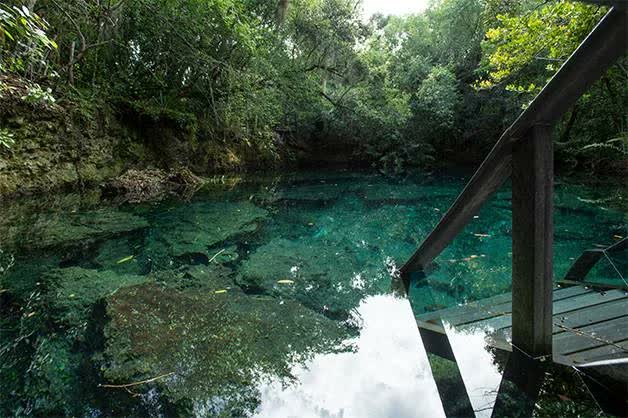 Indigenous Eyes ecological reserve, Punta Cana